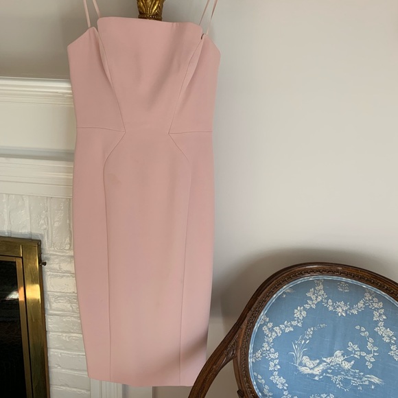 Beautiful Jill Stuart Blush Cocktail Dress - Picture 3 of 5